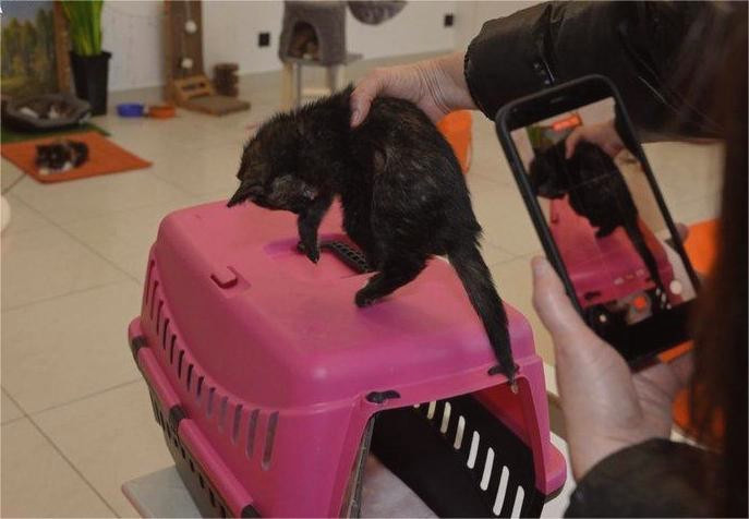 17250 image for slide