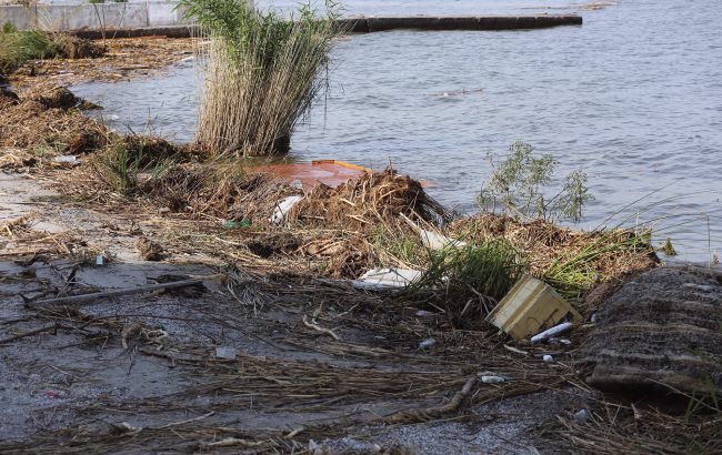 17256 image for slide