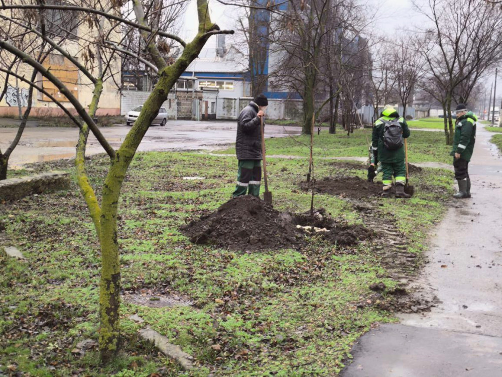 17332 image for slide