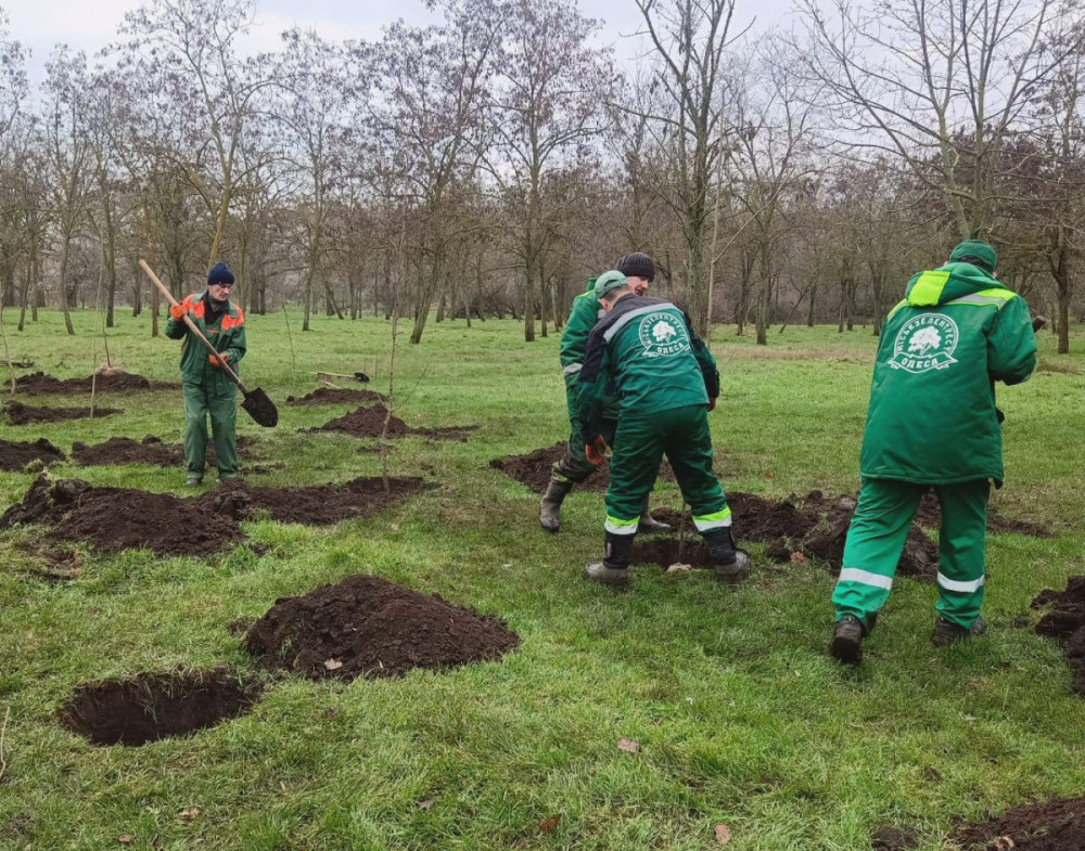 17333 image for slide