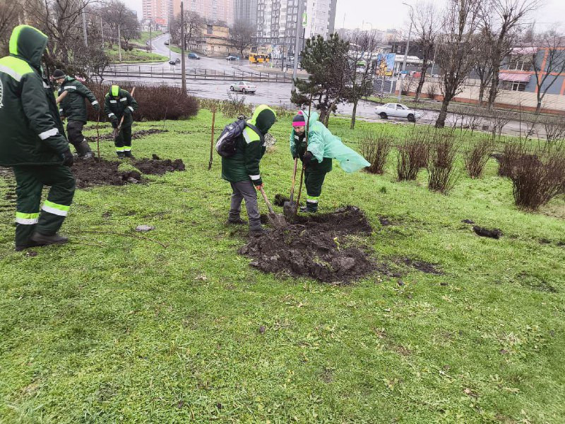 17334 image for slide