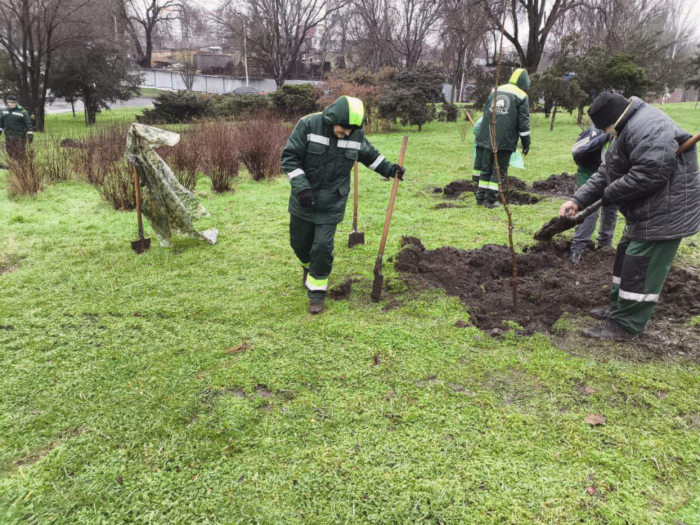 17335 image for slide