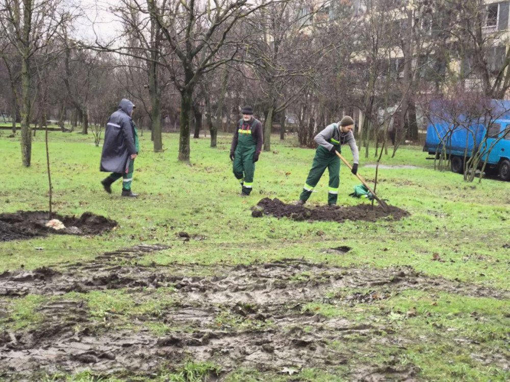 17336 image for slide