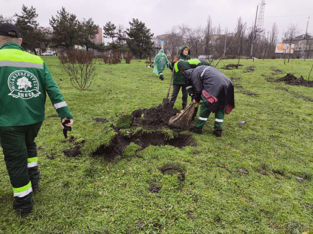 17337 image for slide