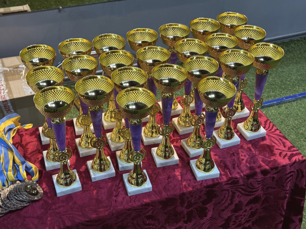 17402 image for slide