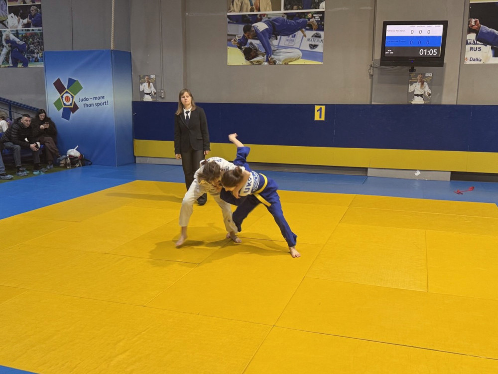 17403 image for slide